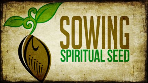  Anam Cara: Sowing Seeds for Spiritual Awakening