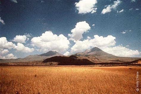  Back Roads: Travels through the Turkish Landscape –  a Vivid Tapestry of Anatolian Adventures and Reflections