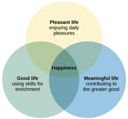  Happy: What Really Matters -  The Pursuit of Joy Through Everyday Experiences and Personal Reflection