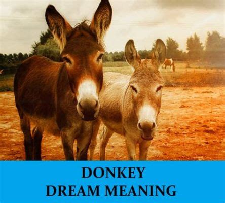  The Tale of the Brave Donkey: Exploring Ethiopian Folktales Through an Enduring Classic